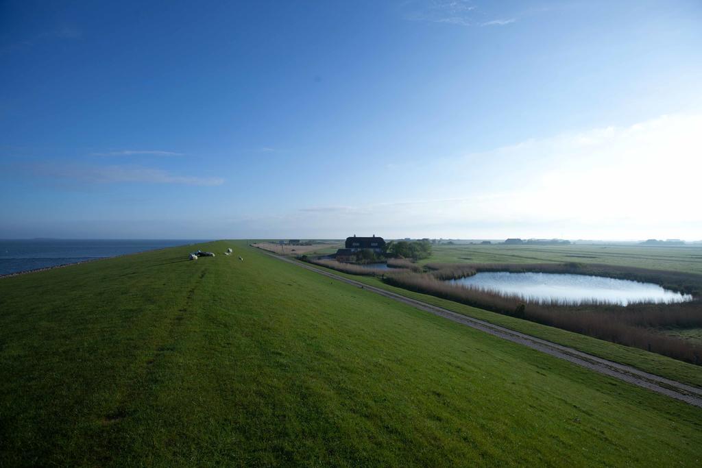 Tede Warft Appartement Pellworm Buitenkant foto