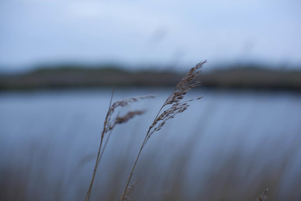 Tede Warft Appartement Pellworm Buitenkant foto